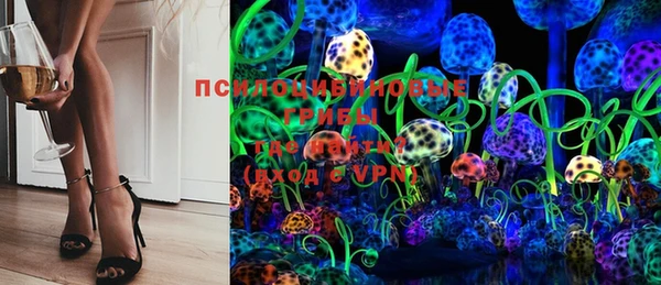 винт Карпинск