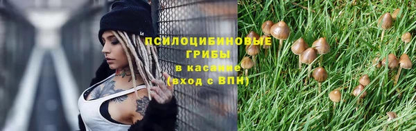 марки nbome Каменногорск
