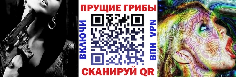 Купить закладки  Мураши  Галлюциногенные грибы прущие грибы 