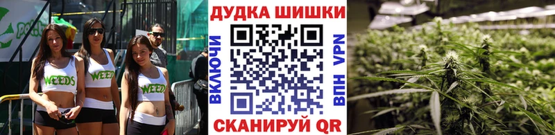 Конопля планчик  Купить где  Мураши 